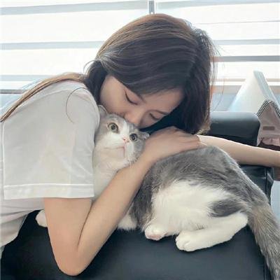 酱狗